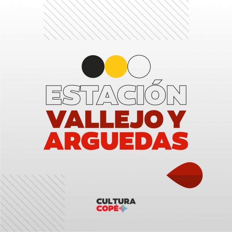 Estación Vallejo y Arguedas